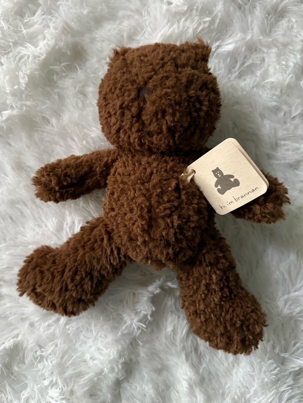 Brown Brannan Teddy Bear